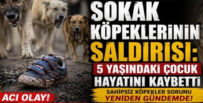 Sokak Köpeklerinin Saldırısı: 5 Yaşındaki Çocuk Hayatını Kaybetti
