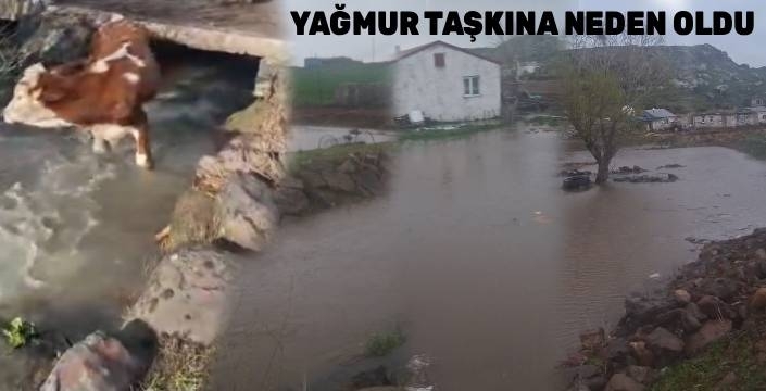 Kars’ta Yağış Sonrası Küçük Çaplı Taşkınlar Yaşandı
