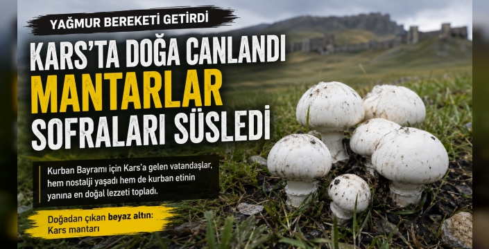 Kars’ta Yağmurun Ardından Doğa Canlandı: Bayramcılar Mantar Peşine Düştü