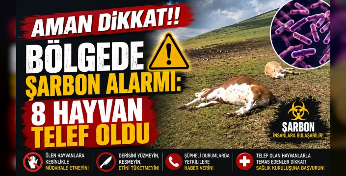 Ardahan'da Şarbon Alarmı: 8 Büyükbaş Hayvan Telef Oldu
