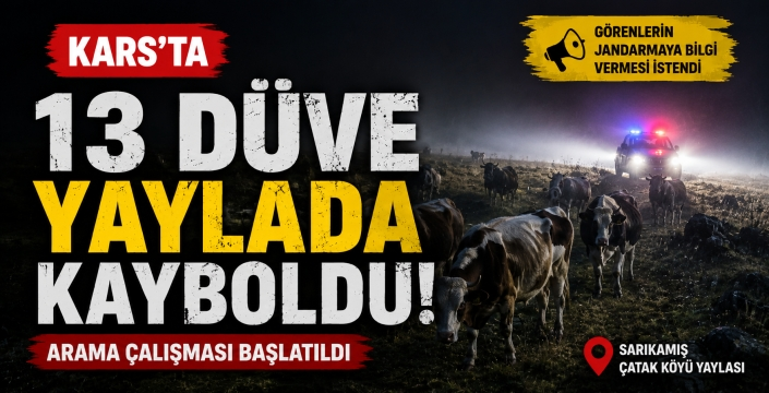 Kars’ta 13 Düve Yaylada Kayboldu! Arama Çalışması Başlatıldı
