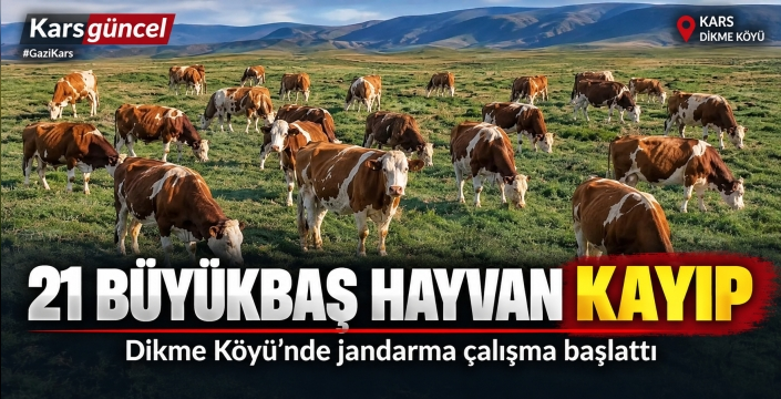 Kars’ta 21 Büyükbaş Hayvan Kayıp: Köylüler İhbar Etti