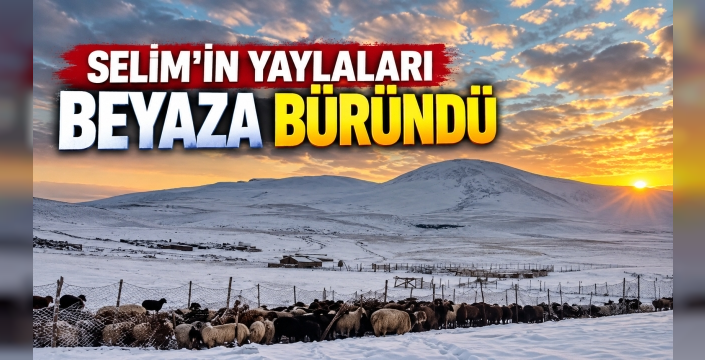 Kars’ta Ekim Ayında Kış Manzarası: Yaylalar Beyaza Büründü