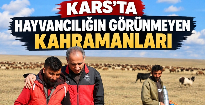 Kars’ta Hayvancılığın Görünmeyen Kahramanları: Çobanların Emeği Meralarda