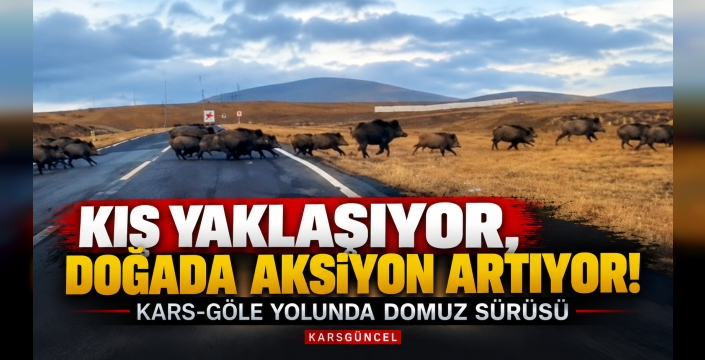KIŞ YAKLAŞIYOR, DOĞADA AKSİYON ARTIYOR!
