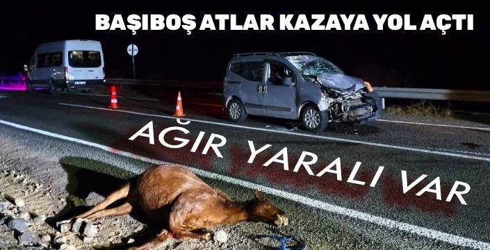 Başıboş Atlar Kazaya Yol Açtı: Bir Kişi Ağır Yaralı