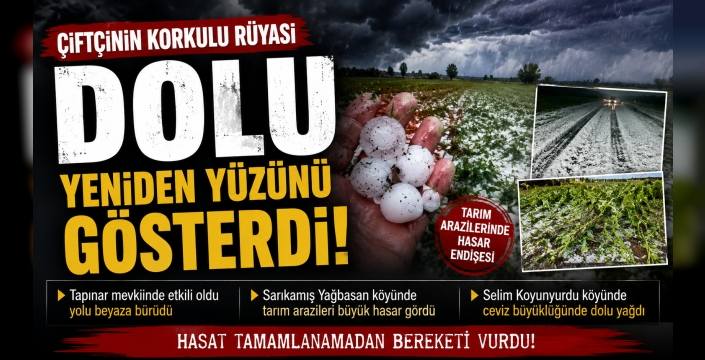 Çiftçinin Korkulu Rüyası Dolu, Tam Hasat Zamanında Yeniden Yüzünü Gösterdi