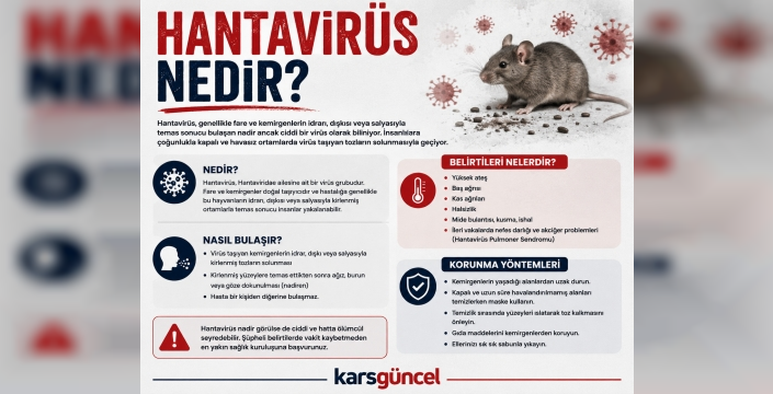 Dünyada Hantavirüs Alarmı: Uzmanlar Uyarıyor