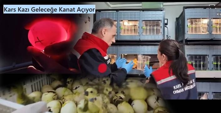 Kars Kazı Geleceğe Kanat Açıyor 