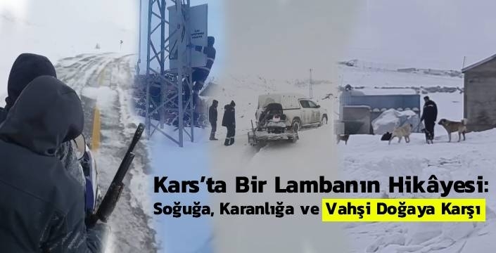 Kars’ta Bir Lambanın Hikâyesi: Soğuğa, Karanlığa ve Vahşi Doğaya Karşı