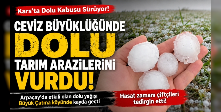 Kars'ta Dolu Kabusu Sürüyor: Ceviz Büyüklüğündeki Dolu Hasat Öncesi Çiftçiyi Tedirgin Etti