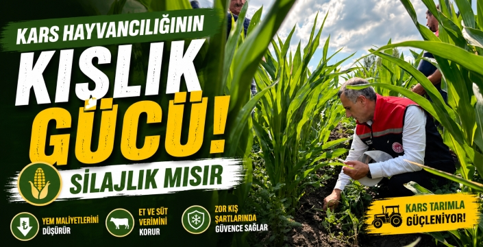 KARS'TA SİLAJLIK MISIR ÜRETİMİ YÜZ GÜLDÜRÜYOR
