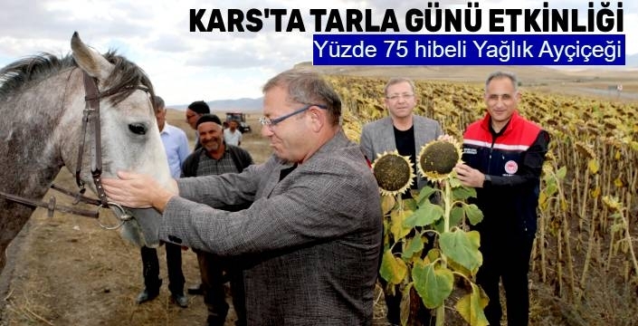 Kars'ta Yağlık Ayçiçeği Ekimi Hızla Yaygınlaşıyor: Kars'ta Tarla Günü Etkinliği!