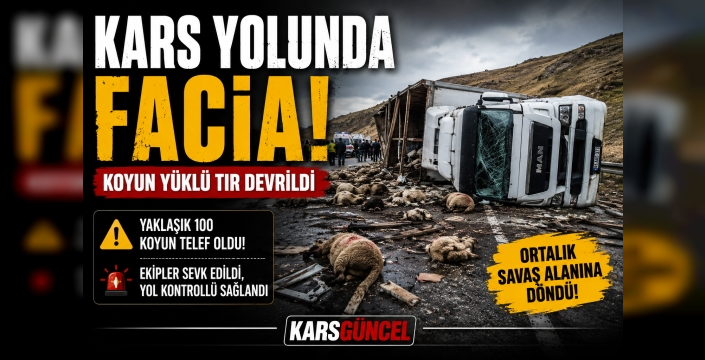 Kars Yolunda Facia: Koyun Yüklü TIR Devrildi, Ortalık Savaş Alanına Döndü