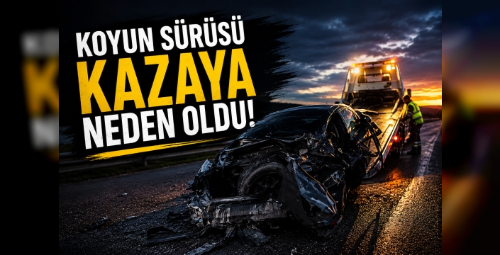 Koyun Sürüsü Kazaya Neden Oldu: 3 Kişi Yaralandı