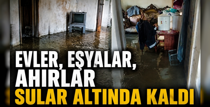 MEZRA KÖYÜ'NDE SEL FELAKETİ: EVLER VE AHIRLAR SULAR ALTINDA KALDI
