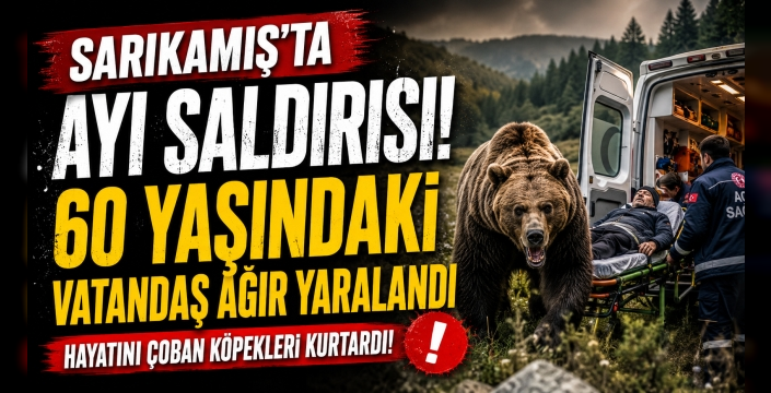 Sarıkamış'ta Ayı Saldırısı: 60 Yaşındaki Vatandaş Ağır Yaralandı