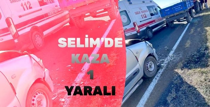 Selim Bayburt Köyü Mevkiinde Trafik Kazası: 1 Yaralı