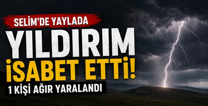 Selim’de Yaylada Yıldırım Dehşeti: 1 Kişi Ağır Yaralandı